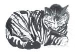 Ink painting of sleeping tabby cat. This image available as a notecard